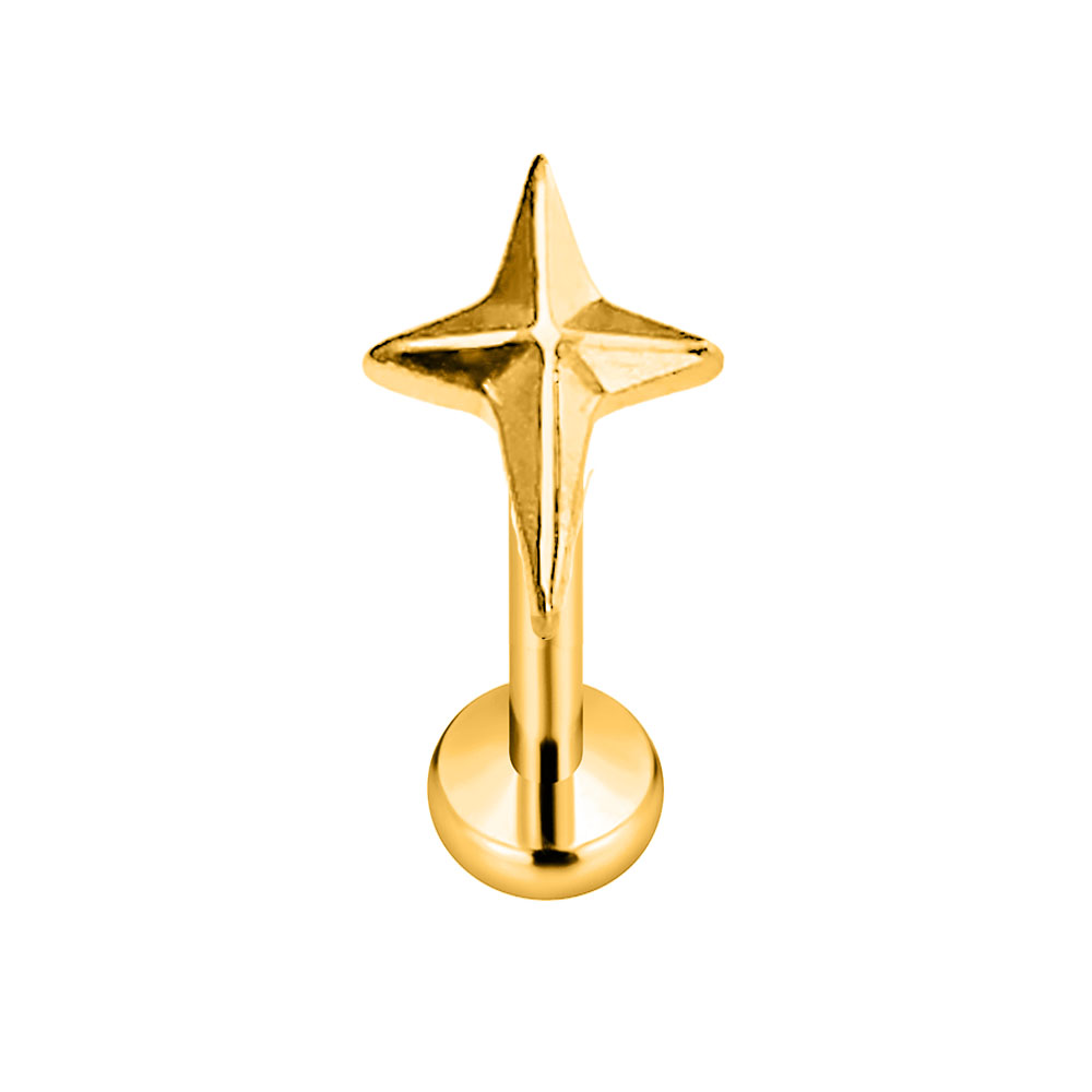 ASTM F136 G23 Titanium Star Cr - Body Jewelry Threadless recension och pris