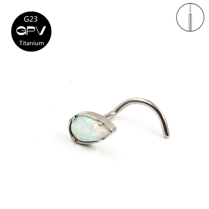 G23 Titanium 5-Word Nose Nail  - Body Jewelry Manufacturers recension och pris
